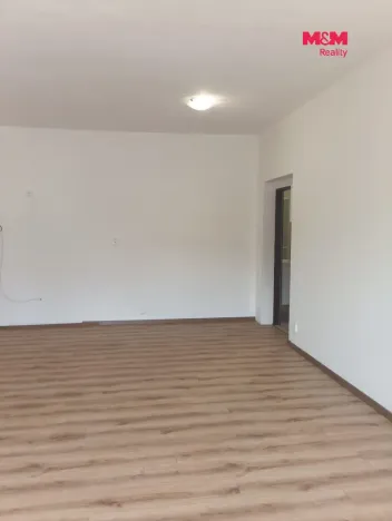 Pronájem bytu 1+kk, Tochovice, 39 m2