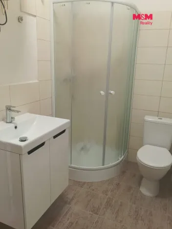 Pronájem bytu 1+kk, Tochovice, 39 m2