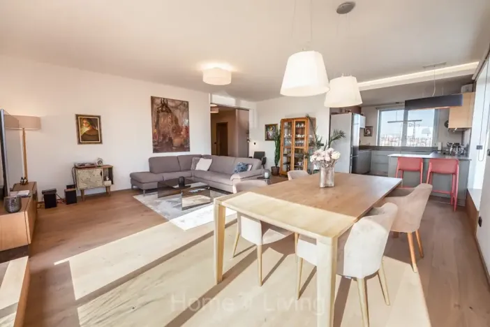 Prodej bytu 5+kk, Brno, Klatovská, 230 m2