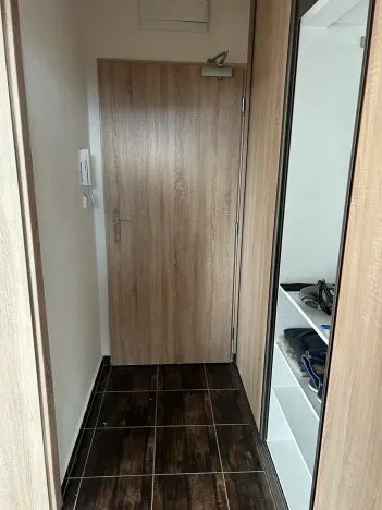 Pronájem bytu 1+kk, Brno, Markéty Kuncové, 39 m2