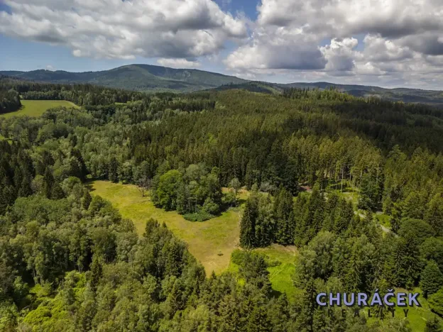 Prodej ubytování, Nová Pec, 280 m2