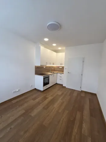 Pronájem bytu 2+kk, Praha - Vinohrady, Nad olšinami, 47 m2