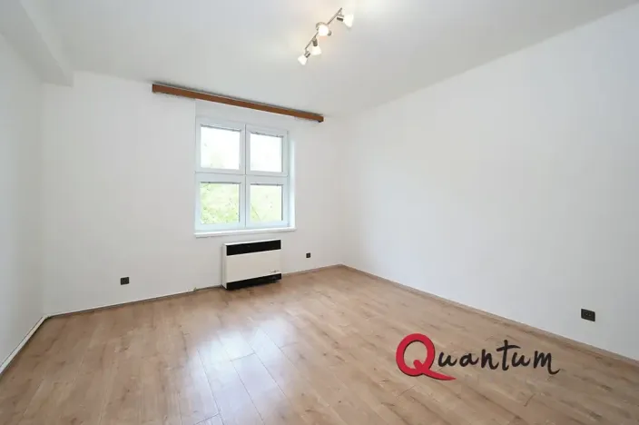 Pronájem bytu 1+1, Praha - Braník, Branická, 47 m2