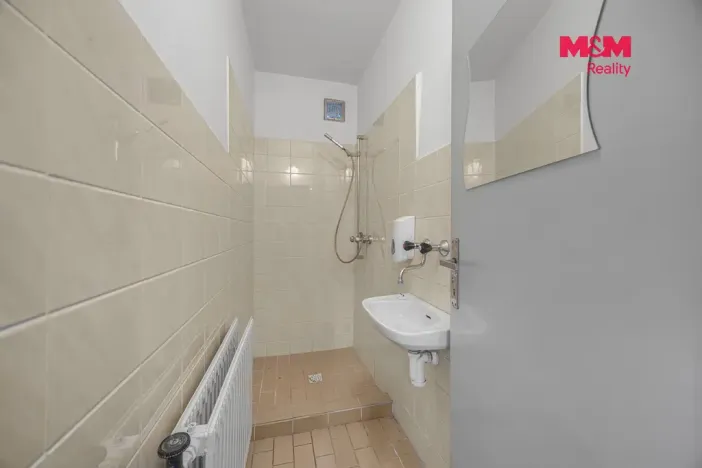 Prodej obchodního prostoru, Pardubice - Zelené Předměstí, Mikulovická, 330 m2
