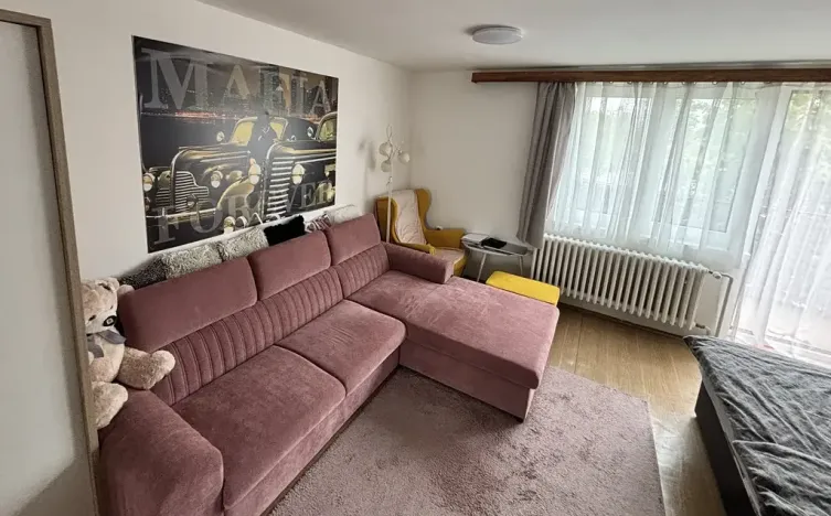 Prodej vícegeneračního domu, Kostelec nad Labem, Antonína Dvořáka, 350 m2