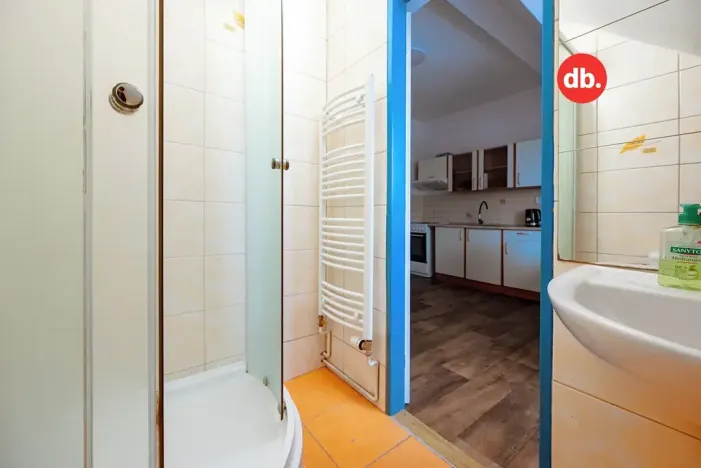 Pronájem bytu 1+1, Karlovy Vary, Jabloňová, 45 m2