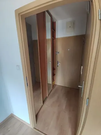 Pronájem bytu 1+kk, Praha - Libeň, Braunerova, 35 m2