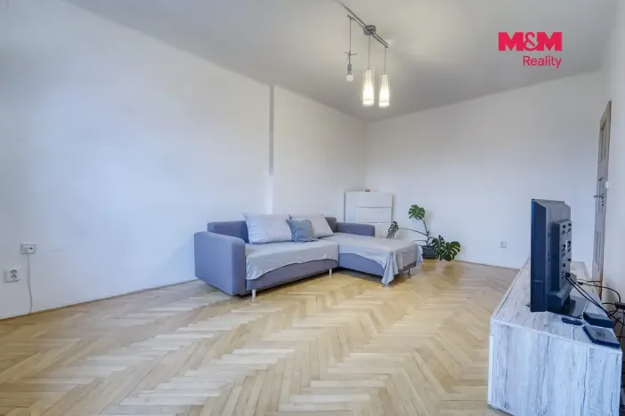 Pronájem bytu 2+1, Plasy, Stará cesta, 55 m2