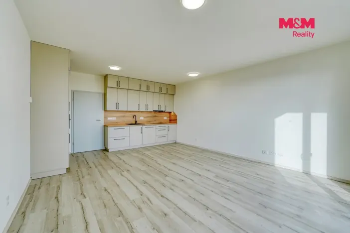 Pronájem bytu 1+kk, Plzeň - Litice, Srncová, 36 m2