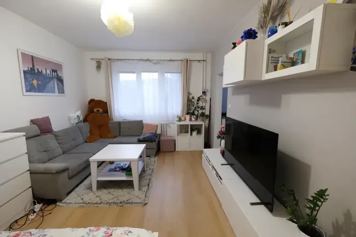 Pronájem bytu 1+1, Uherský Brod, Družstevní, 38 m2
