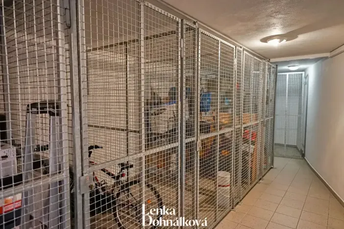 Pronájem bytu 3+kk, Hodonín, 115 m2