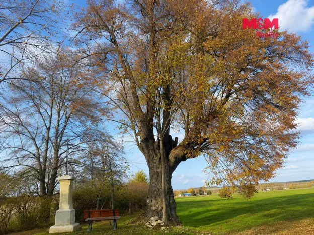 Prodej zahrady, Kořenice - Pučery, 327 m2
