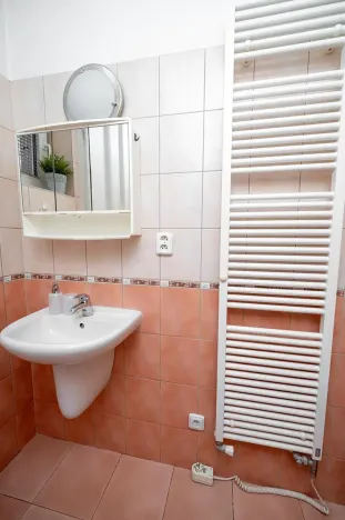 Pronájem bytu 1+kk, Praha - Libeň, Budilova, 39 m2