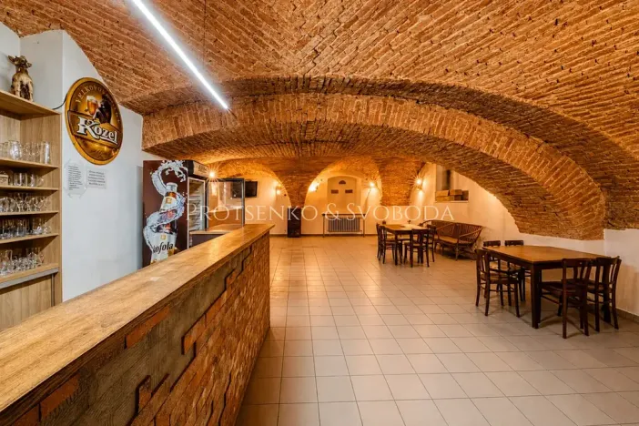 Prodej činžovního domu, Dobšice, Lahoferova, 218 m2