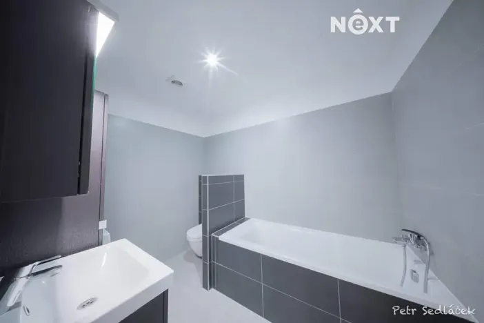 Prodej bytu 2+kk, Brno, U Leskavy, 51 m2
