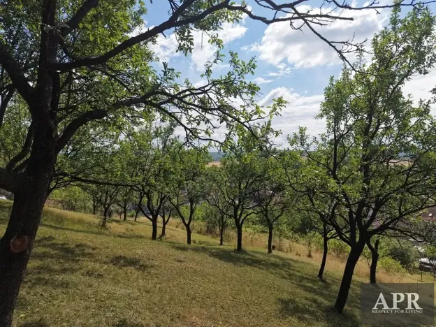 Prodej zahrady, Prakšice, 2596 m2