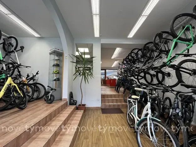Prodej rodinného domu, Přelouč, Pražská, 225 m2