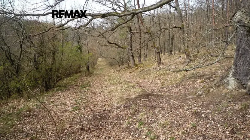 Prodej chaty, Plasy, 50 m2