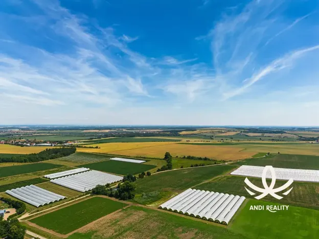 Prodej rodinného domu, Břežany II, 100 m2