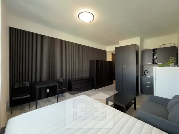 Pronájem bytu 1+kk, Praha - Vinohrady, náměstí Jiřího z Lobkovic, 25 m2