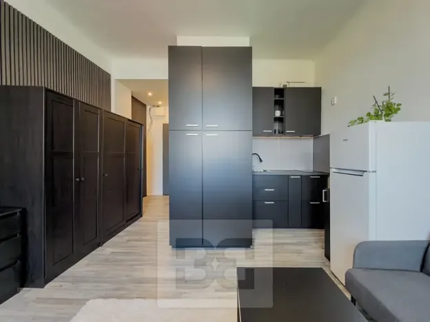 Pronájem bytu 1+kk, Praha - Vinohrady, náměstí Jiřího z Lobkovic, 25 m2