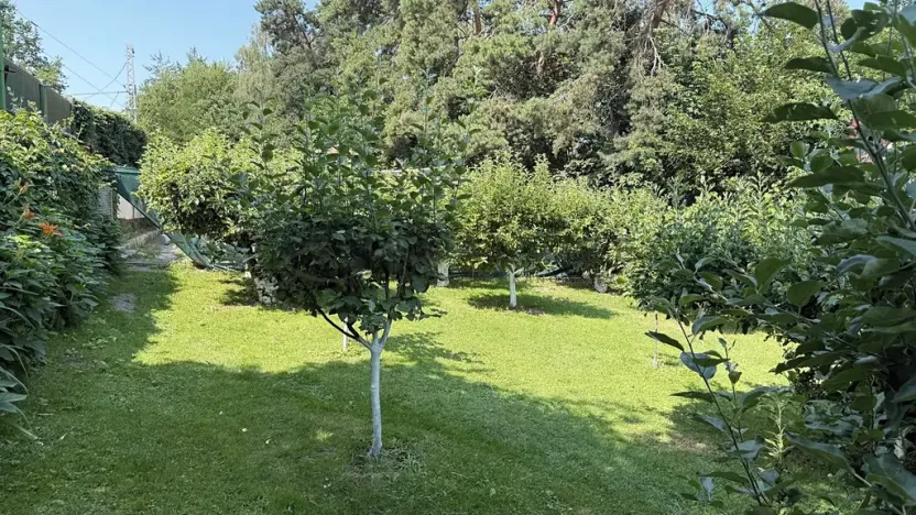 Prodej chaty, Boršov nad Vltavou, 41 m2