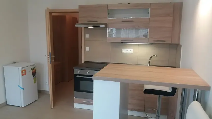 Pronájem bytu 1+kk, Brno, Hostinského, 28 m2
