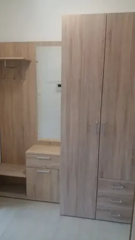 Pronájem bytu 1+kk, Brno, Hostinského, 28 m2