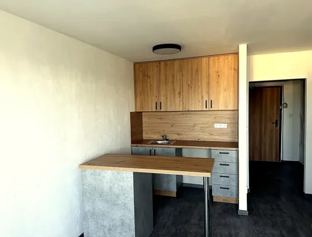 Pronájem bytu 1+kk, Karviná, 30 m2