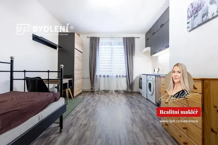 Pronájem bytu 1+kk, Teplice, Duchcovská, 19 m2