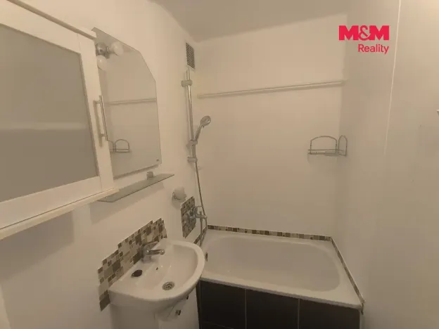 Pronájem bytu 1+kk, Ústí nad Labem - Krásné Březno, Dr. Horákové, 32 m2