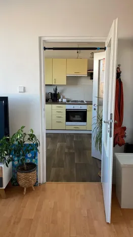 Prodej bytu 1+1, Teplice, Bratislavská, 41 m2