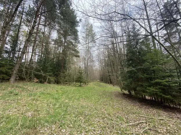 Prodej pozemku, Volfířov - Brandlín, 5958 m2