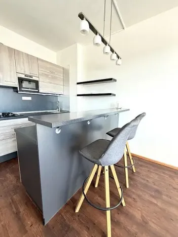 Pronájem bytu 2+kk, Brno - Ponava, Domažlická, 54 m2