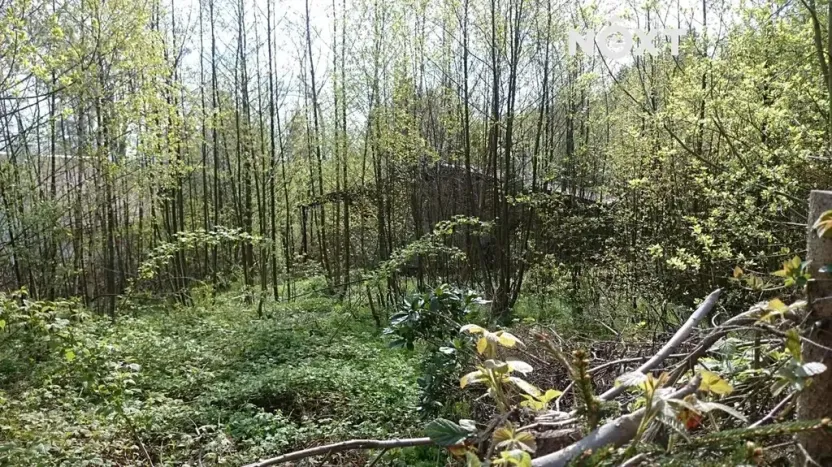 Prodej pozemku pro bydlení, Liberec, 1772 m2