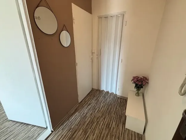 Pronájem bytu 1+1, Frýdek-Místek, Petra Cingra, 44 m2