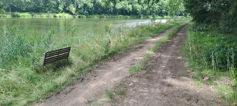 Pronájem zahrady, Tišice, 1000 m2