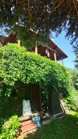 Prodej zahrady, Čkyně, 366 m2