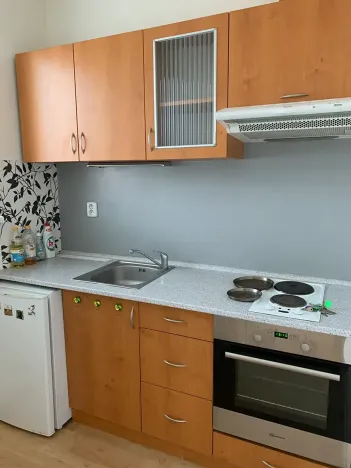 Pronájem bytu 1+1, Brno, Lučiny, 30 m2