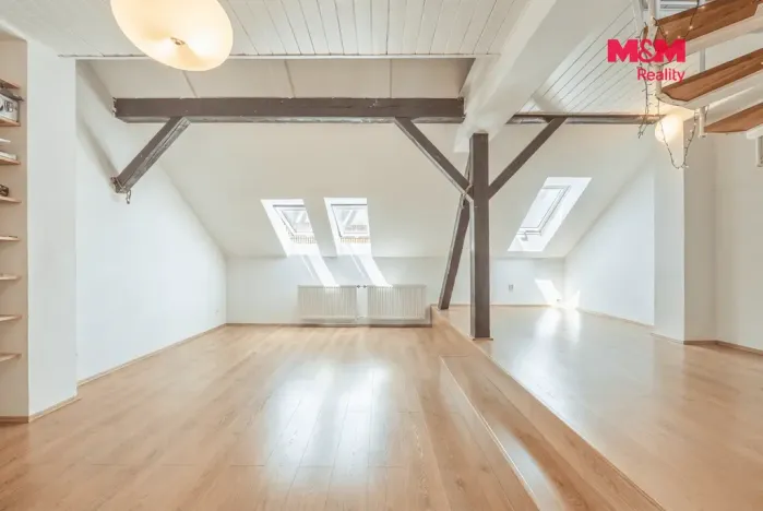 Pronájem bytu 1+1, Praha - Vinohrady, Záhřebská, 88 m2