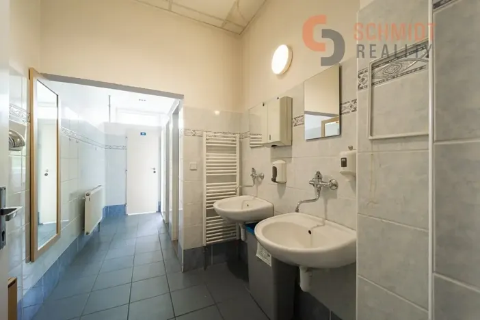 Pronájem kanceláře, Břeclav, Kančí obora, 30 m2
