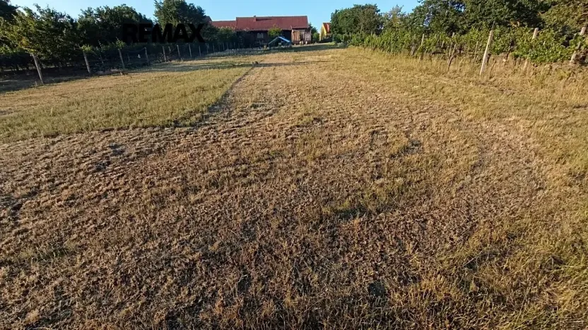 Pronájem sadu/vinice, Bořetice, 1092 m2