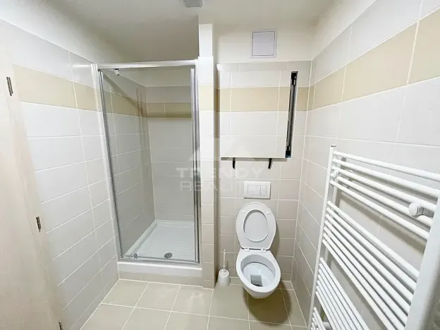 Pronájem bytu 1+kk, Plzeň, Nemocniční, 29 m2