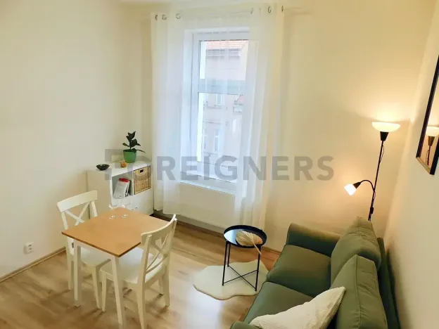 Pronájem bytu 2+kk, Plzeň, Hřímalého, 33 m2