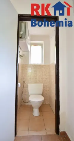 Pronájem rodinného domu, Pyšely, V Pískovně, 52 m2