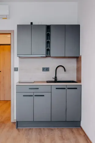Pronájem apartmánu, Brno, Čechyňská, 40 m2