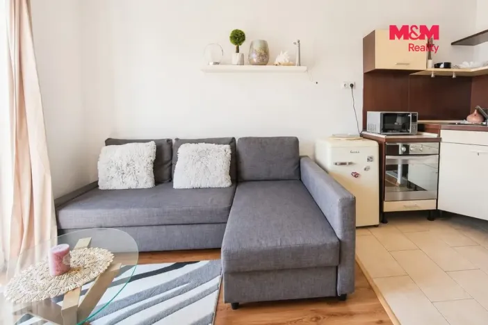 Pronájem bytu 1+kk, Brno - Slatina, Zlínská, 29 m2