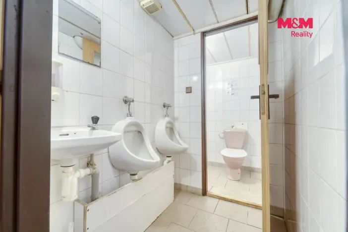 Prodej komerčního pozemku, Vráž, 16101 m2