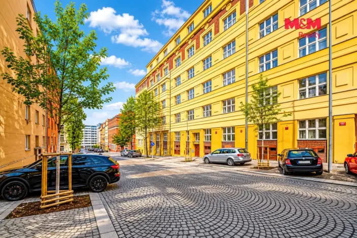 Prodej bytu 2+1, Praha - Žižkov, Baranova, 90 m2