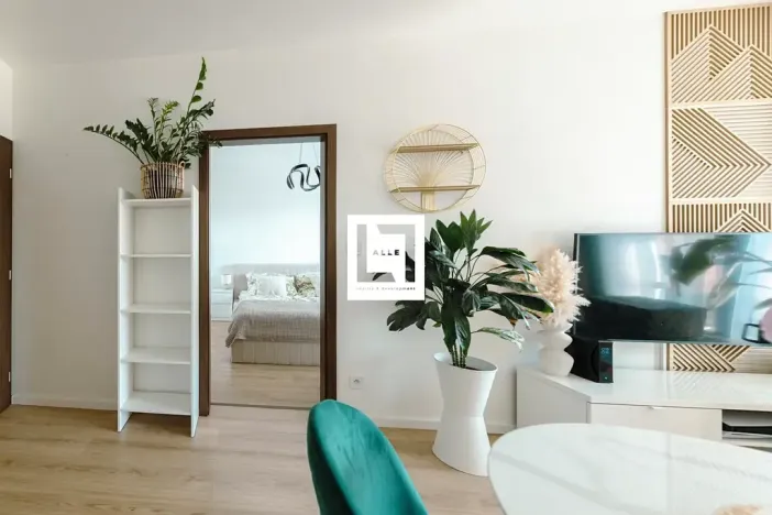 Prodej bytu 2+kk, Olomouc, Věry Pánkové, 60 m2